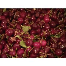 Fűszeres meggylekvár